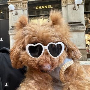 Meet your Posher, Millie